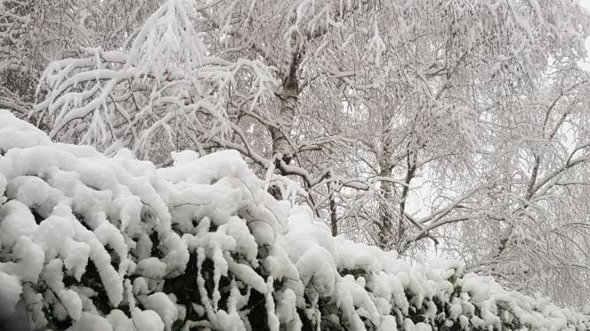 La «sciabolata artica» ci porterà la neve
