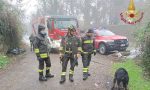 Cane finisce nel greto di un canale a Filago: il video del salvataggio dei vigili del fuoco