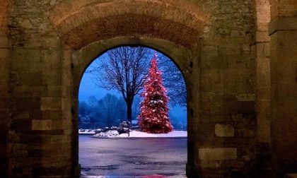 Grazie a quelli che, nonostante tutto, hanno acceso il Natale con le loro stupende luci