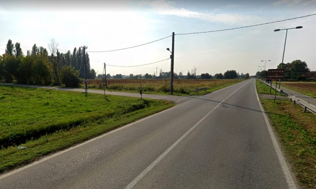Esche avvelenate nei campi, indaga la Polizia locale