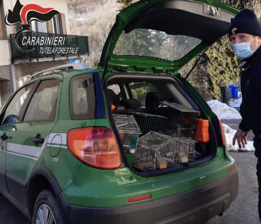 Chi pizzicato a macellare un capriolo, chi con reti da uccellagione: due cacciatori denunciati