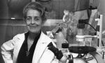 Il giardino di via Mascagni, a Longuelo, sarà dedicato a Rita Levi Montalcini