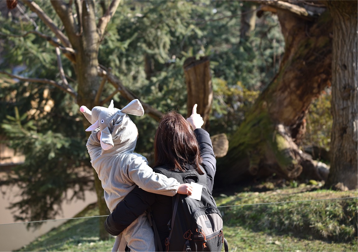 Un carnevale “bestiale” lunedì e martedì al Parco delle Cornelle