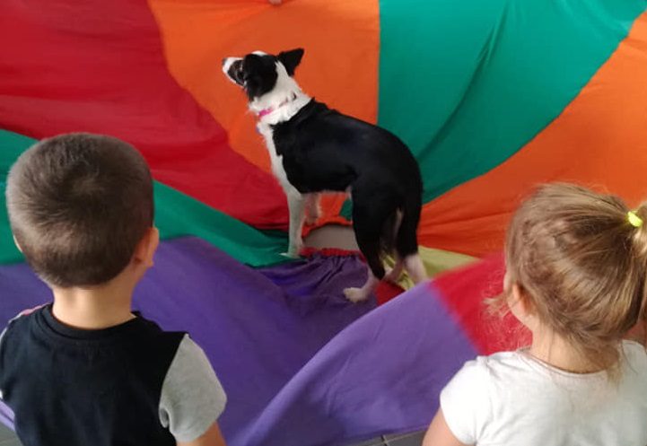 La maestra porta la sua cagnolina (e tanta serenità) nella classe-bolla della materna