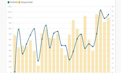 Dopo il Sebino, preoccupa la Bassa: i grafici che mostrano la crescita costante dei casi