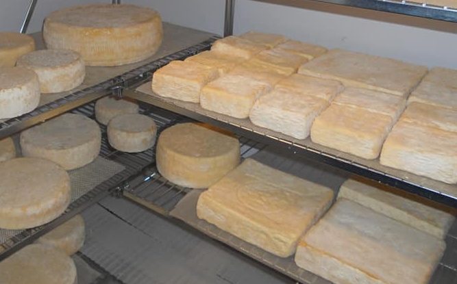 Richiamo alimentare: batterio nocivo in un lotto di Stracchino Colli di San Fermo