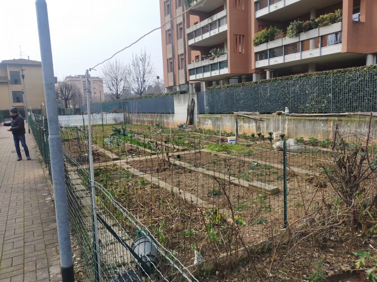 Sfrattato dall’orto sociale alla Celadina, che era la sua vita, il Piero è rimasto senza parole