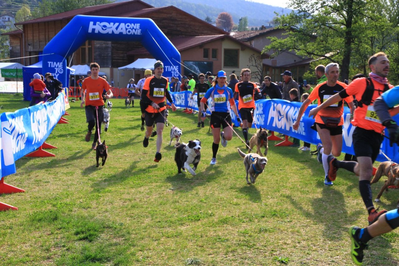 Il miglior amico del corridore? Sempre il cane. Parola di Zampe Selvagge
