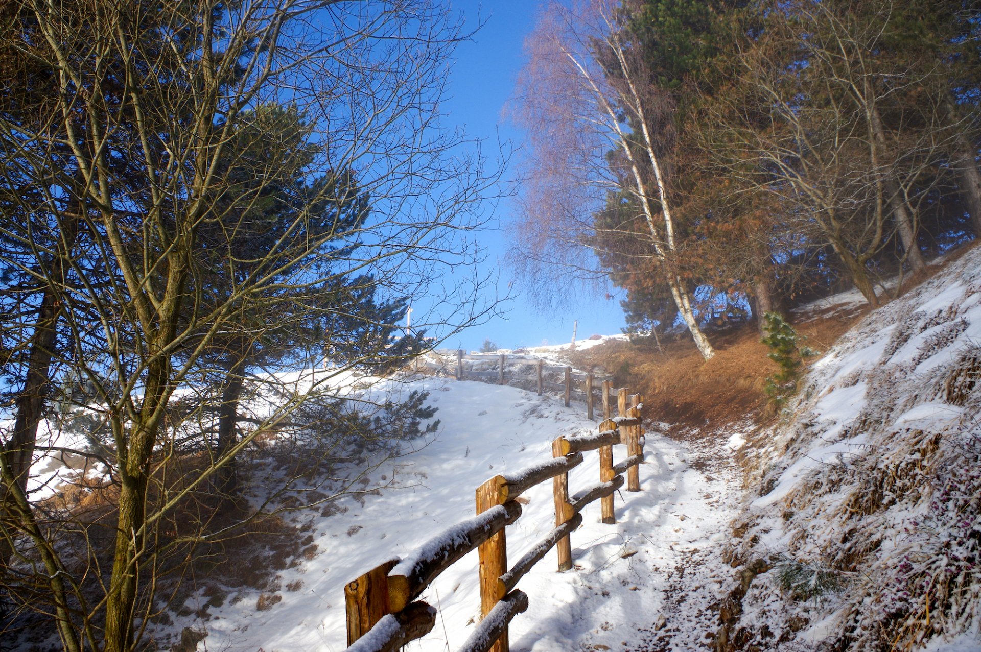 Monte Colombina 2