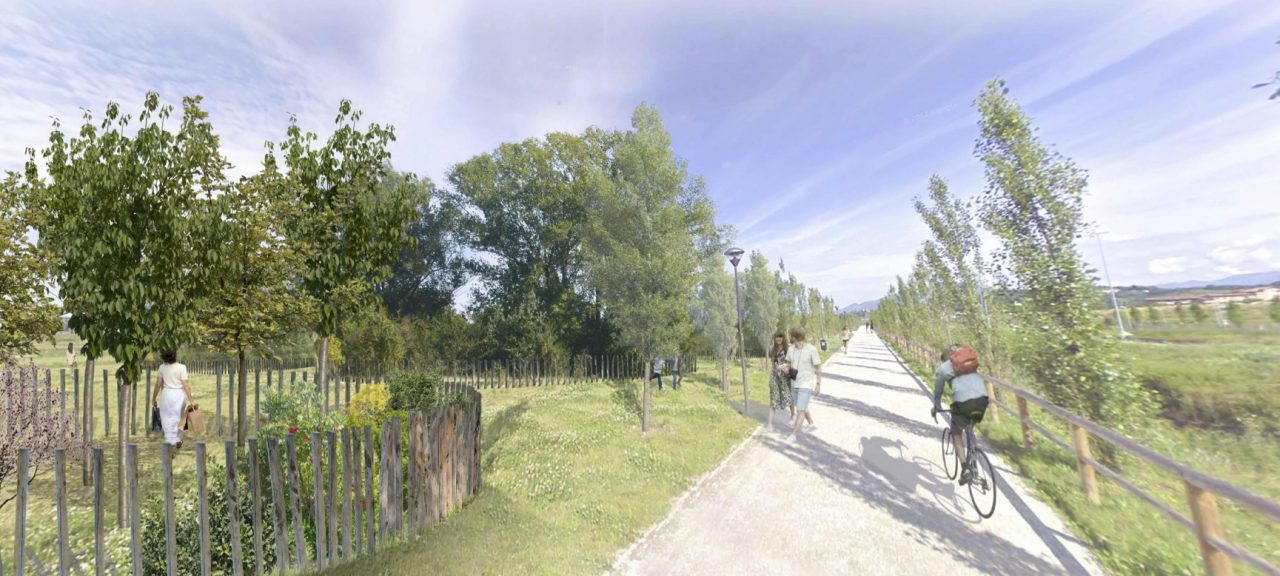 Nel Bosco della Memoria alberi autoctoni ma anche un tiglio donato da Biccari