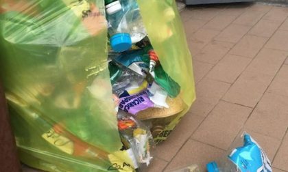 La Lega contro il nuovo sistema di raccolta dei rifiuti: «I sacchi si rompono di continuo»