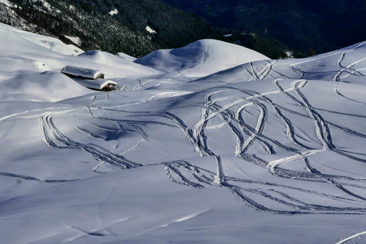 La richiesta di Orobievive: «Si fermi la circolazione delle motoslitte ai Campelli»