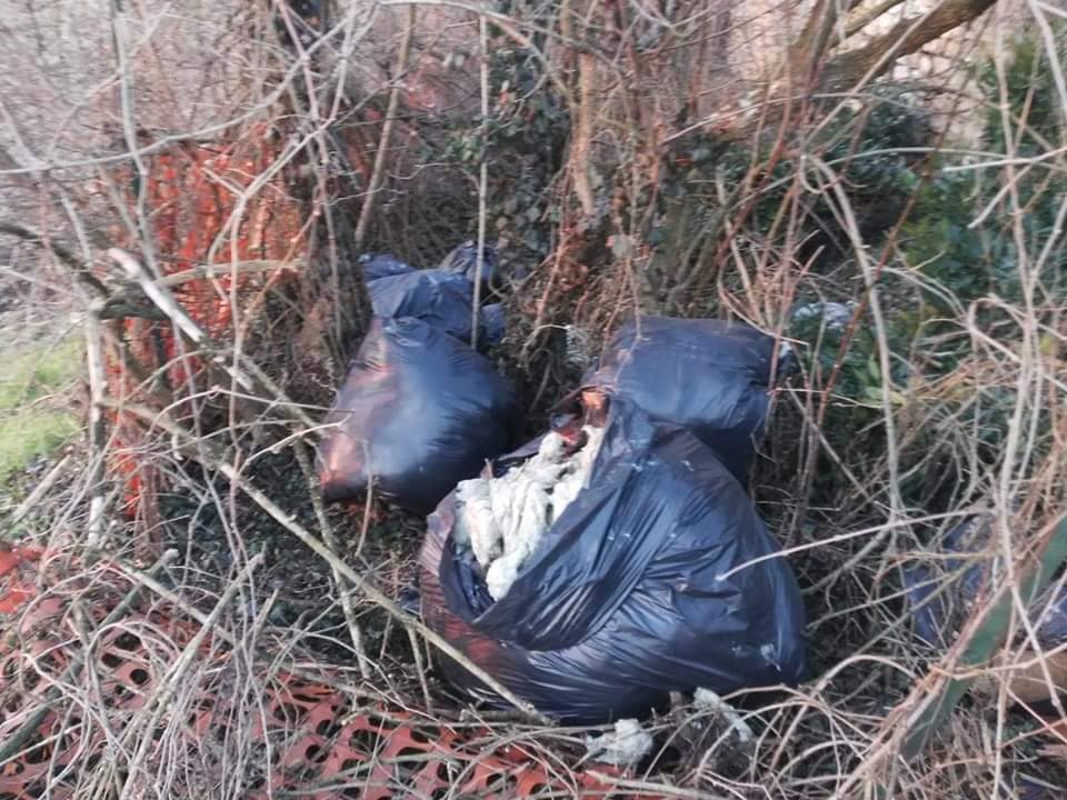 A Seriate 205 controlli degli ispettori ecologici nel 2020: calano i rifiuti abbandonati