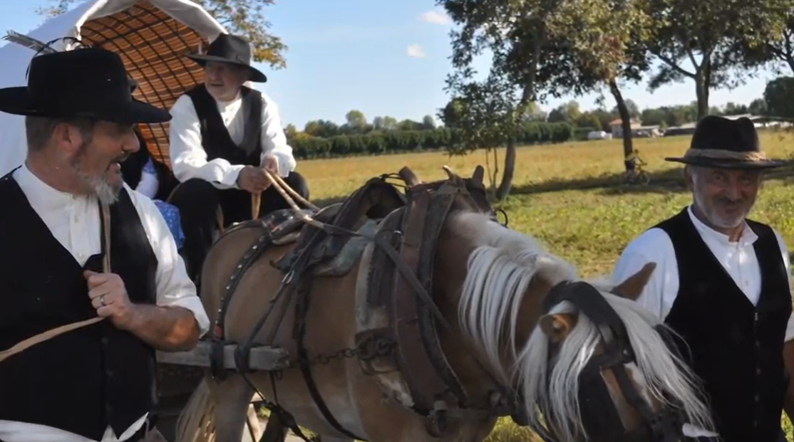 I cowboy della Bergamasca cavalcano online: in un video la Transumanza dei Bergamini