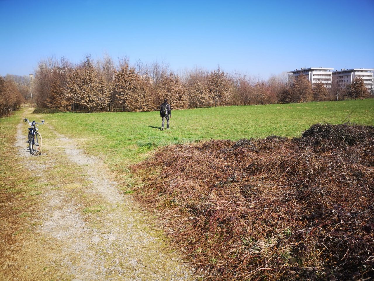 Cemento sul Parco Ovest: «Ce n’è davvero bisogno?». Il Comitato va all’attacco