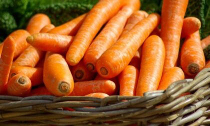 In regalo con il Prima Bergamo in edicola, questa settimana, i semi di carota