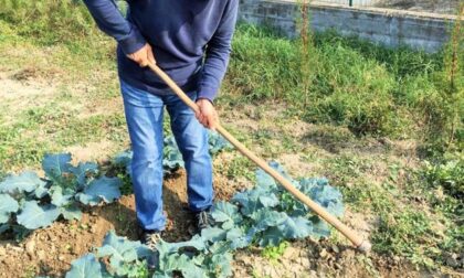 Coltivare Valore, per un’agricoltura sostenibile e sociale