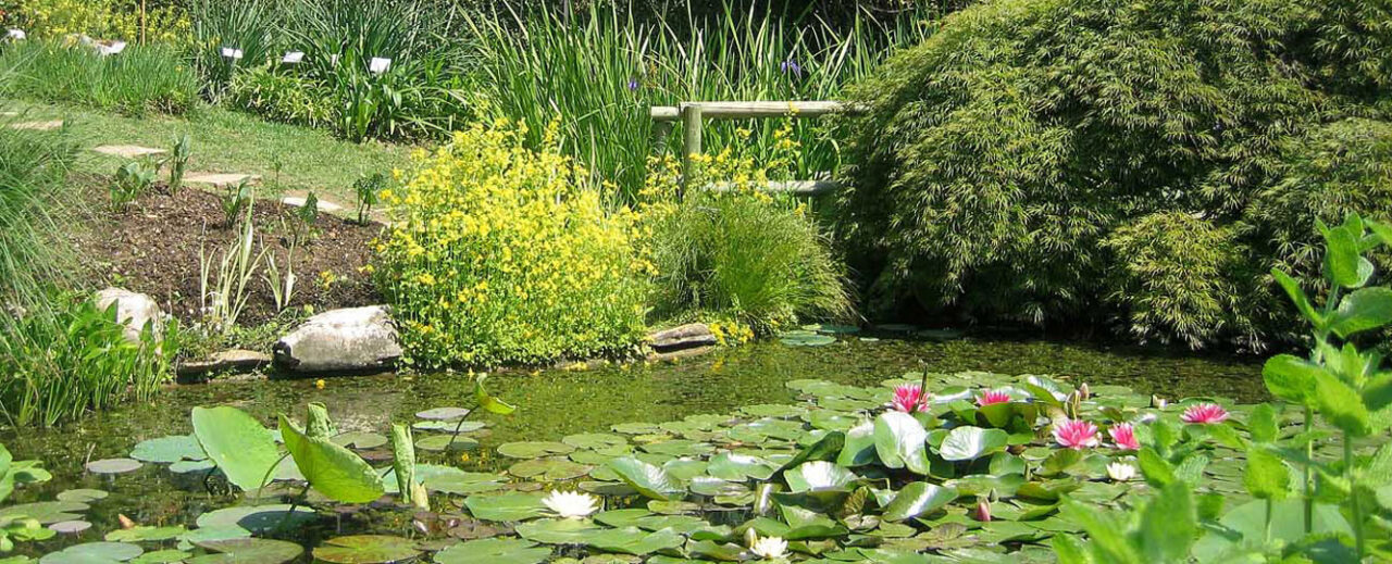 Per tutto maggio si riaprono le porte dell’Orto Botanico in Città Alta e ad Astino