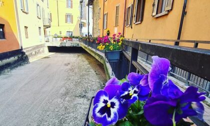 La ciclabile di Alzano ricoperta di fiori grazie ai cittadini (e a Facebook)