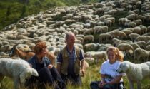 Torna Pasturs, il progetto per scoprire gli alpeggi e tutelare la biodiversità alpina