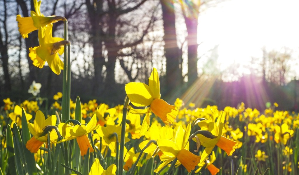 Tempo pazzerello in queste vacanze pasquali e tanto freddo, ma ancora niente pioggia