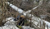 Aliante fuori controllo plana sui monti della Val Gandino. Le foto dell'incidente