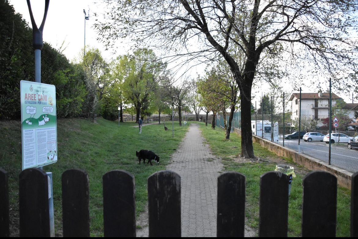 Mozzo, due pitbull feriscono un golden retriver e il loro padrone prende a calci un ragazzo