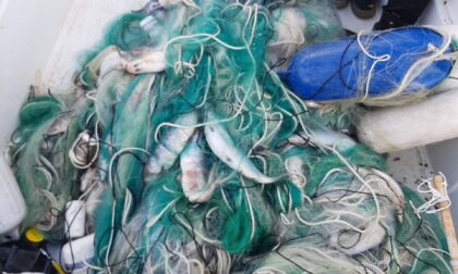 I sub del Wwf di Bergamo hanno recuperato una rete con dentro 250 kg di pesci morti