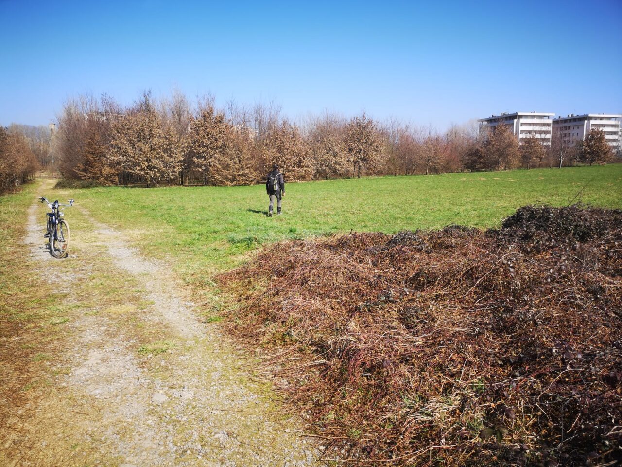 Parco Ovest, le associazioni inviano una diffida sull’avvio di qualsiasi intervento nell’area