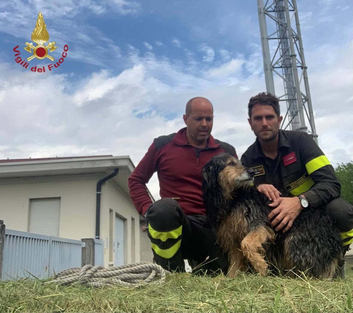 Rischia di annegare nel canale della centrale idroelettrica di Marne: cane cerca una famiglia