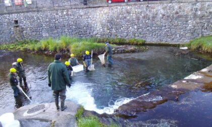 Un accordo teso a tutelare la fauna ittica (anche) dei fiumi Serio e Brembo