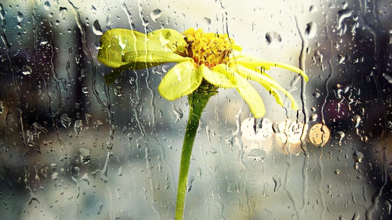 10 frasi in bergamasco sulla pioggia incessante