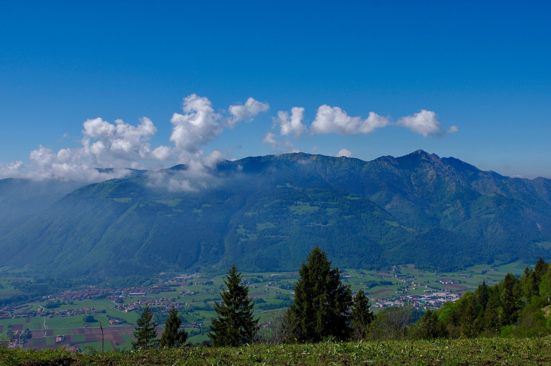 49118198_Panorama Dal Colle di Blum 1