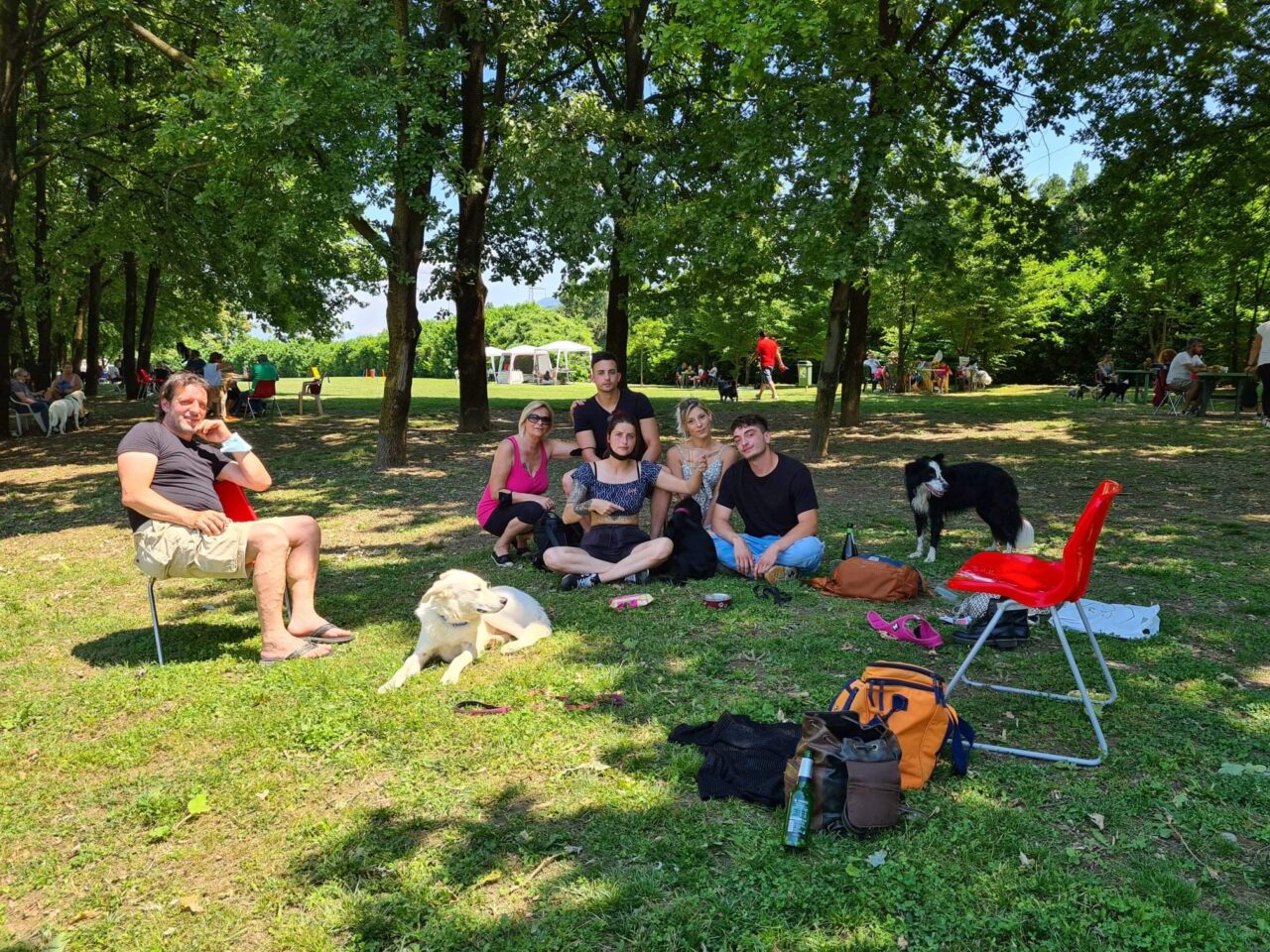 L’area cuccioli al Parco cinofilo di Villa di Serio, un posto bellissimo anche per i padroni
