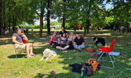 L'area cuccioli al Parco cinofilo di Villa di Serio, un posto bellissimo anche per i padroni