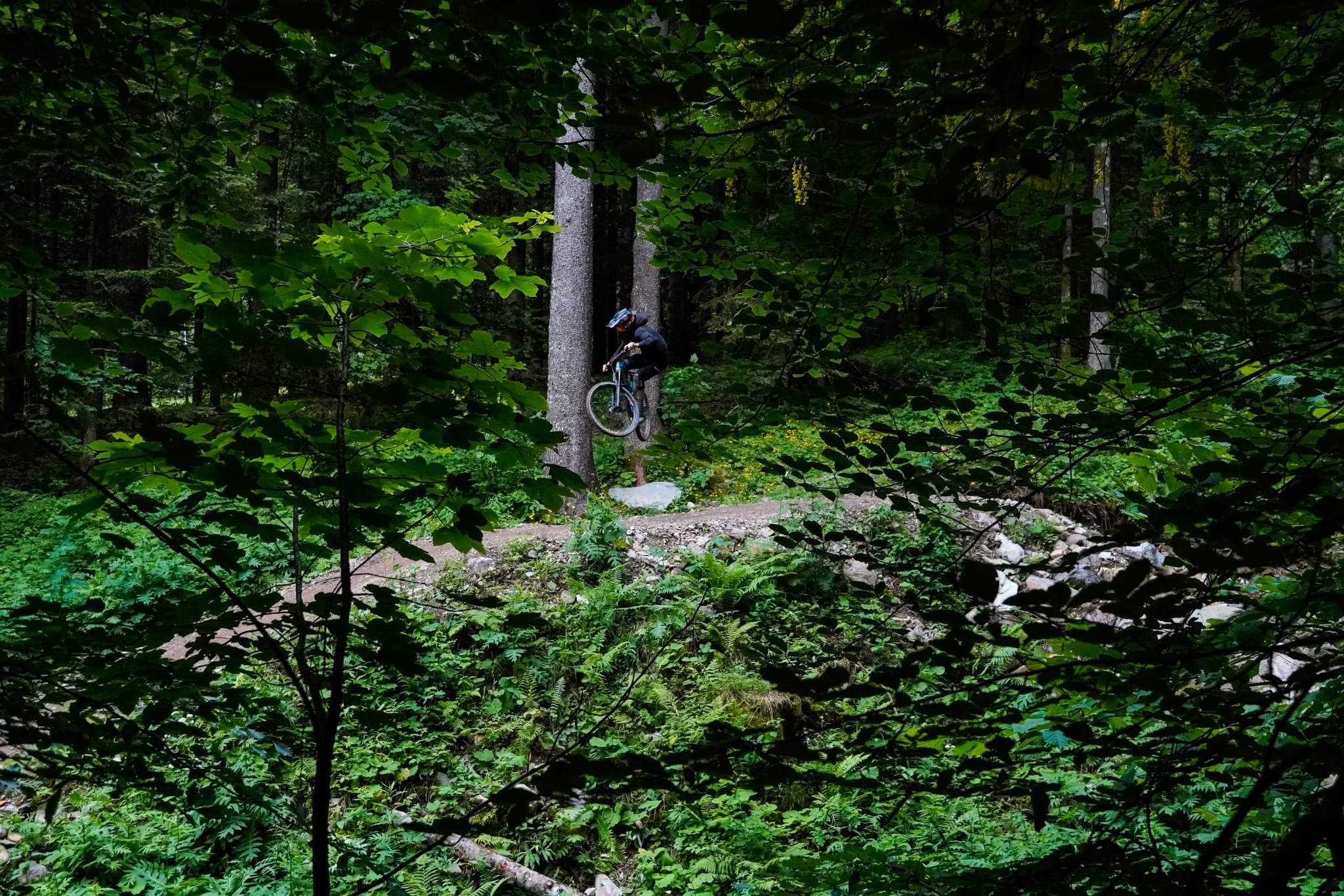 49223340_Tempo Libero - Angelo Corna - Campionati Downhill Torcole 8 foto concesse da Love Bike Park
