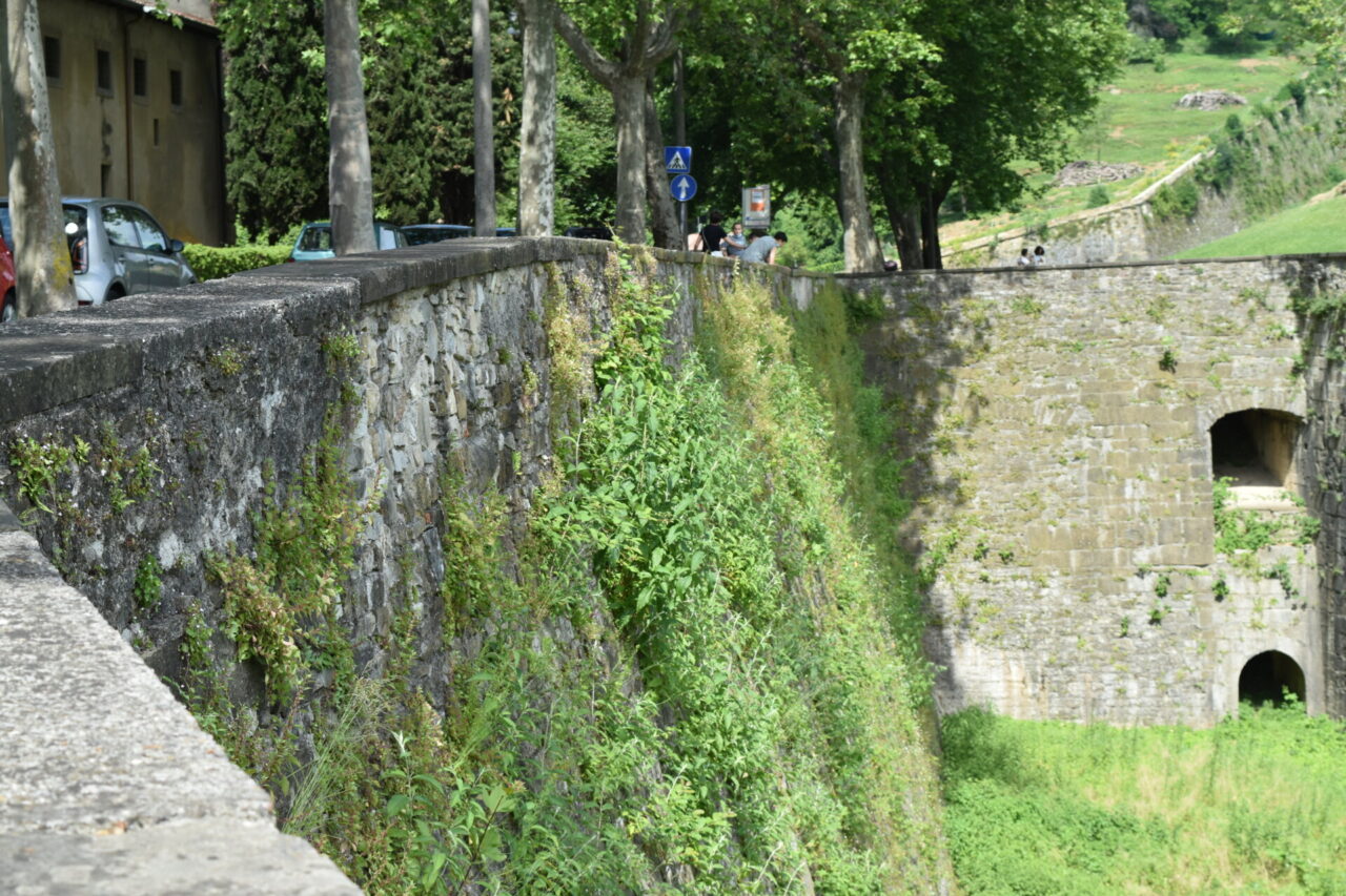 Ma avete visto in che stato sono ridotte le Mura a nord? Urge una ripulitura