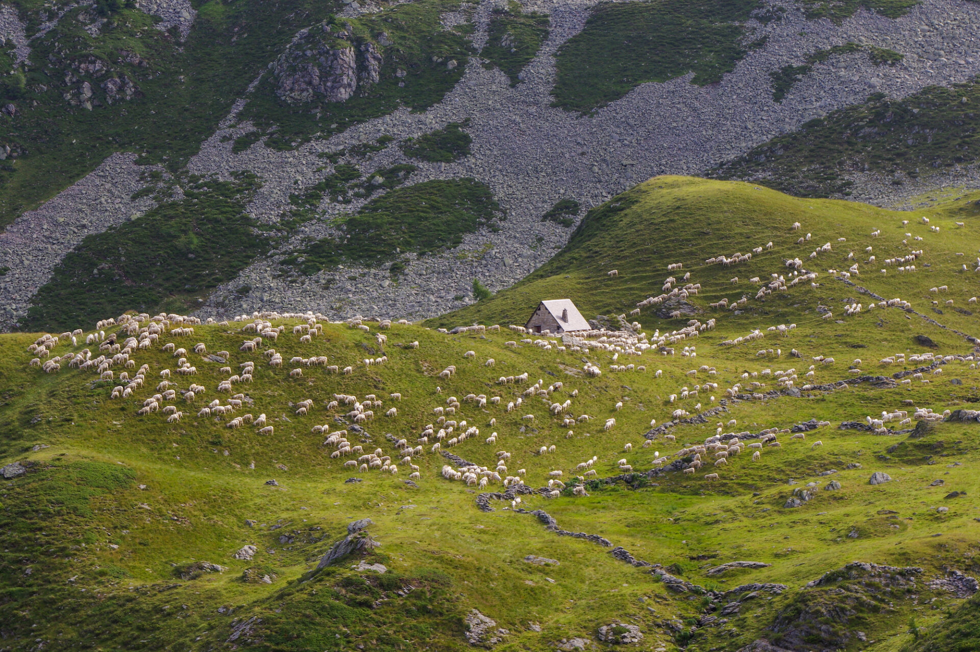 Escursione monti Arete e e Valegino 8