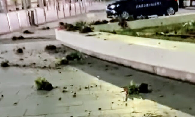 Fiori strappati e terra lanciata per terra in stazione: la Lega vuole nomi e cognomi dei vandali