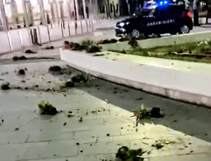 Aiuole devastate dai vandali alla stazione, l’indignazione del web