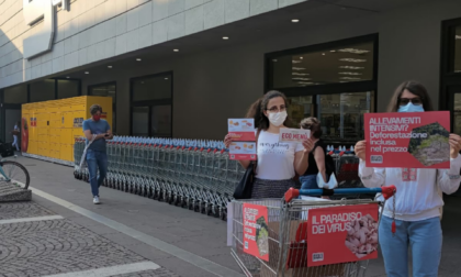 Sit-in di Greenpeace all'Esselunga di via Corridoni contro gli allevamenti intensivi