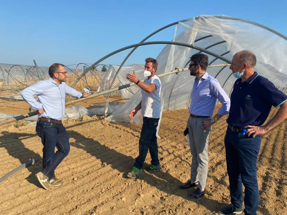 Nubifragio dell’8 luglio: nella Bergamasca 10 milioni di euro di danni all’agricoltura