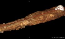 Tac e autopsia virtuale sulla mummia di Ankhekhonsu: aveva tra i 40 e i 50 anni