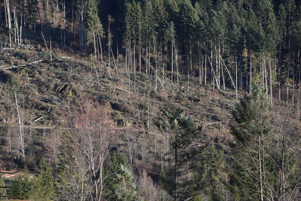 Tempesta Vaia: dalla Regione un altro milione di euro per contenere il rischio idrogeologico