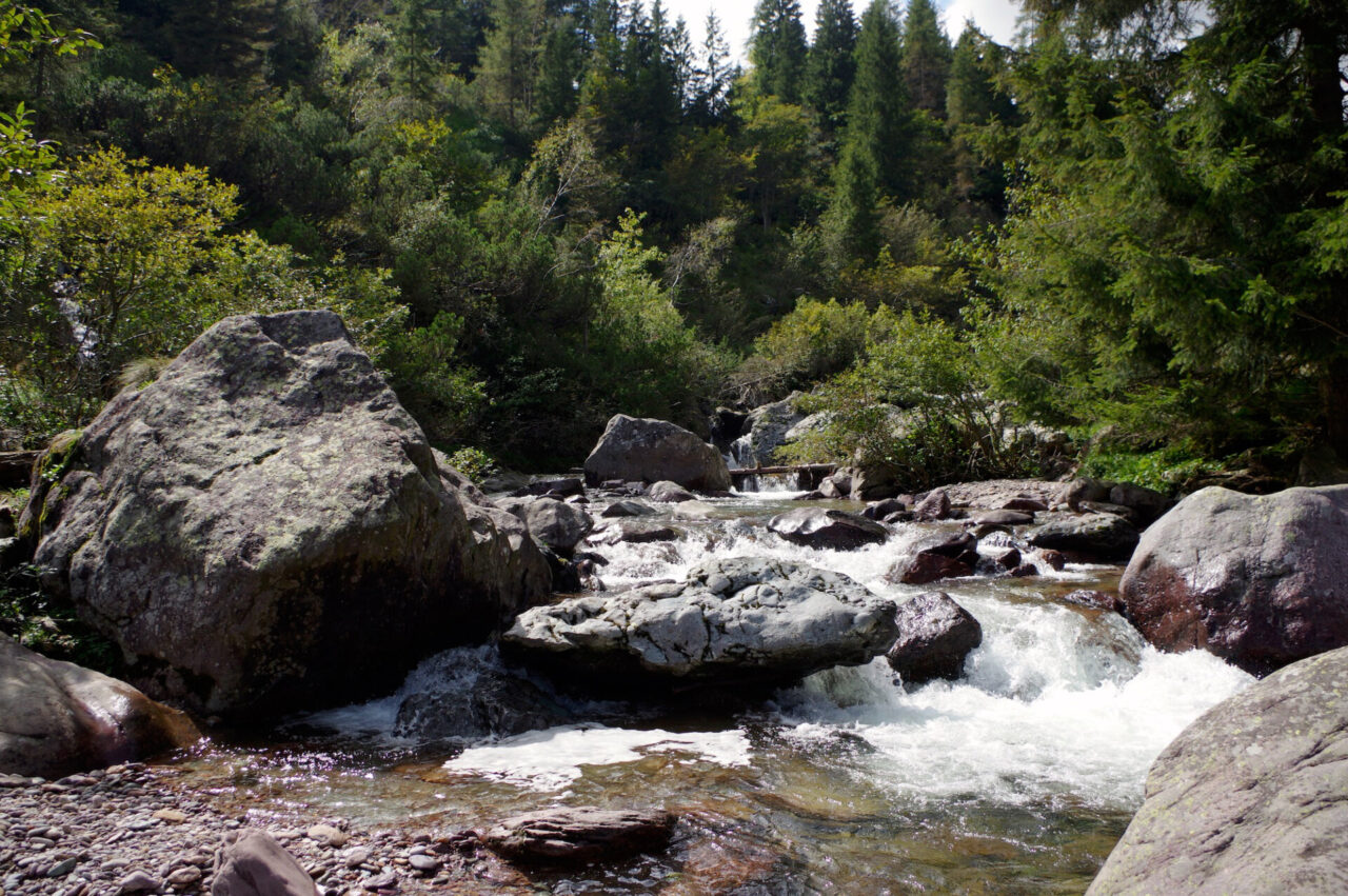 Il week-end nelle nostre valli: gli appuntamenti di sabato 24 e domenica 25 luglio 2021