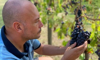 Quando la passione diventa vino: in Val Gandino (e sul web) c'è Grappolo Vivo