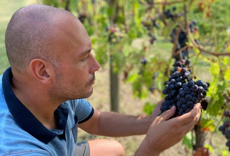 Quando la passione diventa vino: in Val Gandino (e sul web) c’è Grappolo Vivo