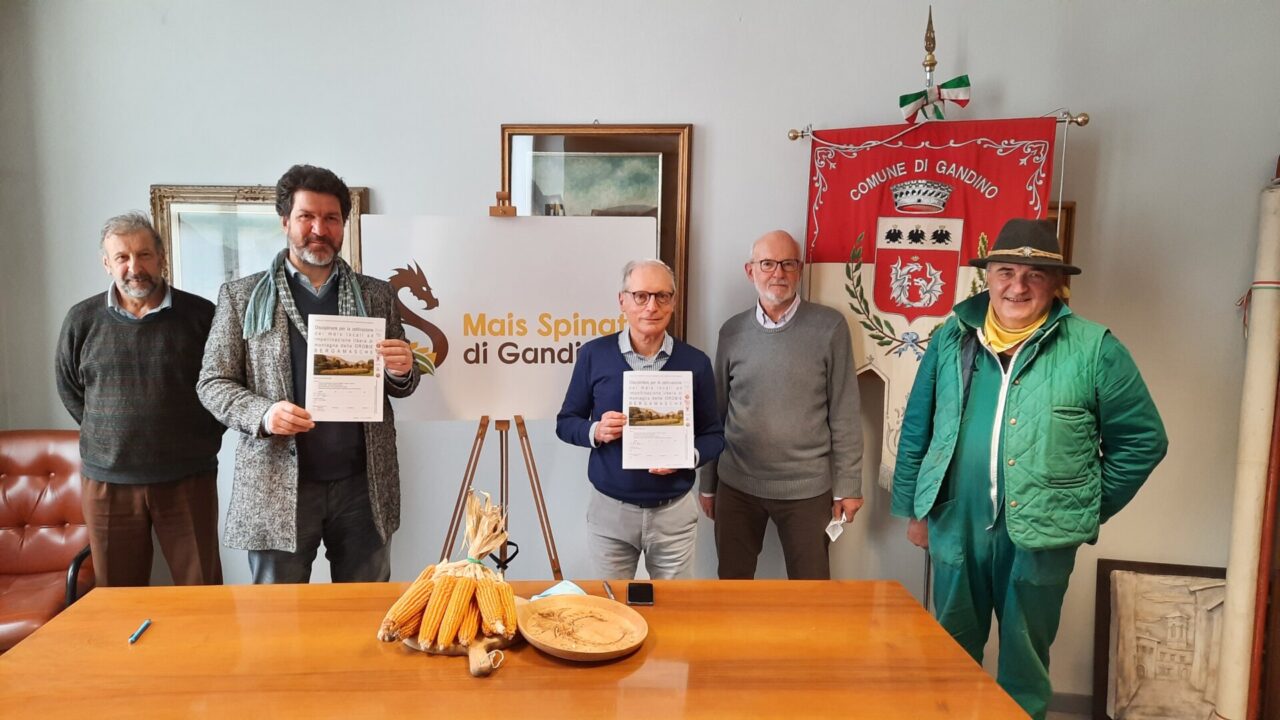 Dal campo alla tavola, un’estate tutta a base di mais: a Gandino “I Lunedì dello Spinato”