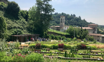 L'Orto Botanico di Bergamo non va in vacanza: ad agosto aperto sempre (feste comprese)