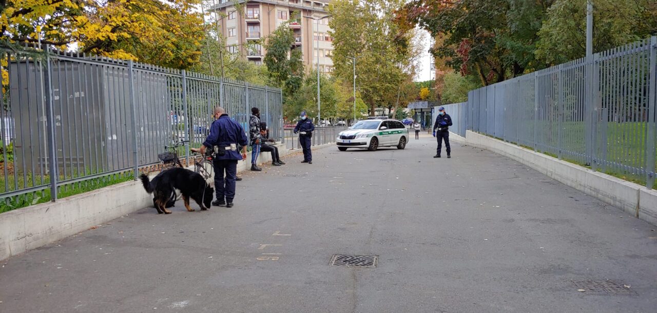 Non solo Tenai: al comando di polizia locale arriverà un nuovo cane antidroga